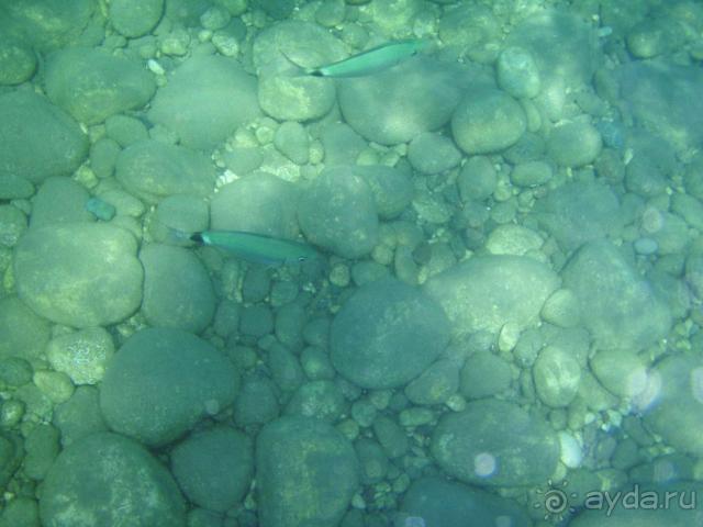 фото Rox Royal Hotel (ex. Grand Haber)