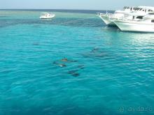 фото Pickalbatros Citadel Resort Sahl Hasheesh