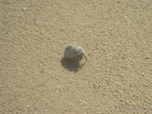 фото Европа