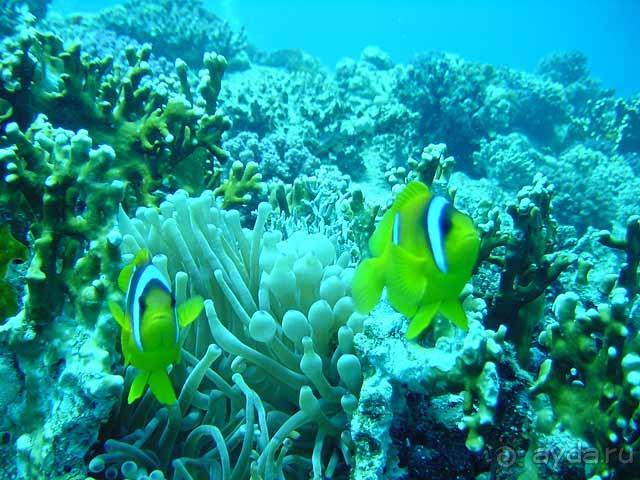 фото Европа