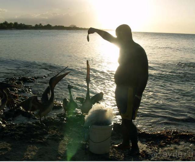 фото Iberostar Selection Varadero