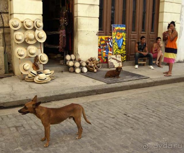 Кубинский тур