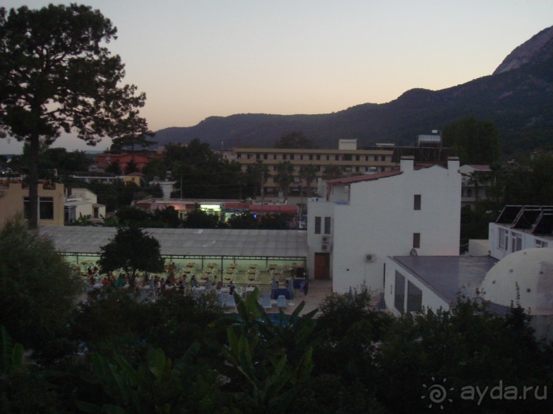 Без друзей умрешь со скуки и с голоду