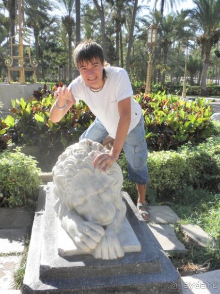 фото Marlin Inn Azur Resort 