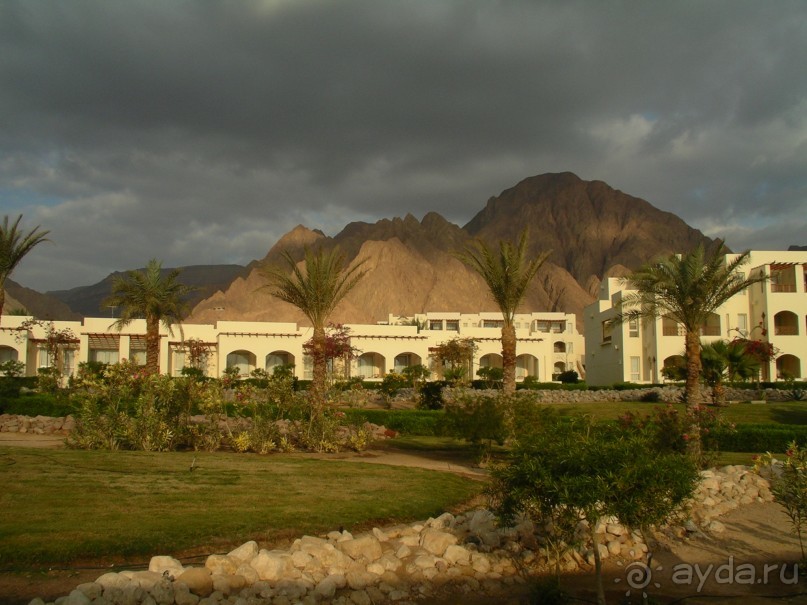 фото Premier Inn Dubai International Airport