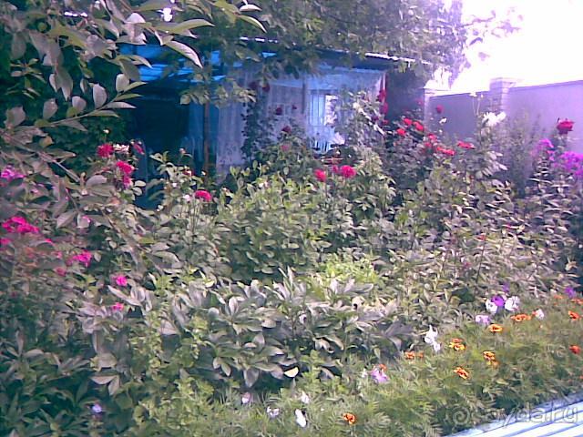 Кыргызстан