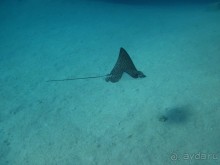 Нормально!!!