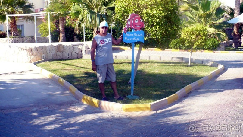 фото DoubleTree by Hilton Sharks Bay Resort