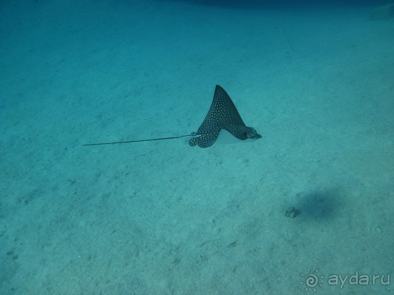 Нормально!!!