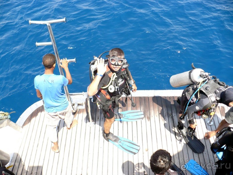 Нормально!!!