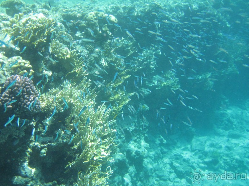 Нормально!!!