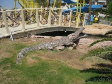 Хорошее сочетание цены и качества