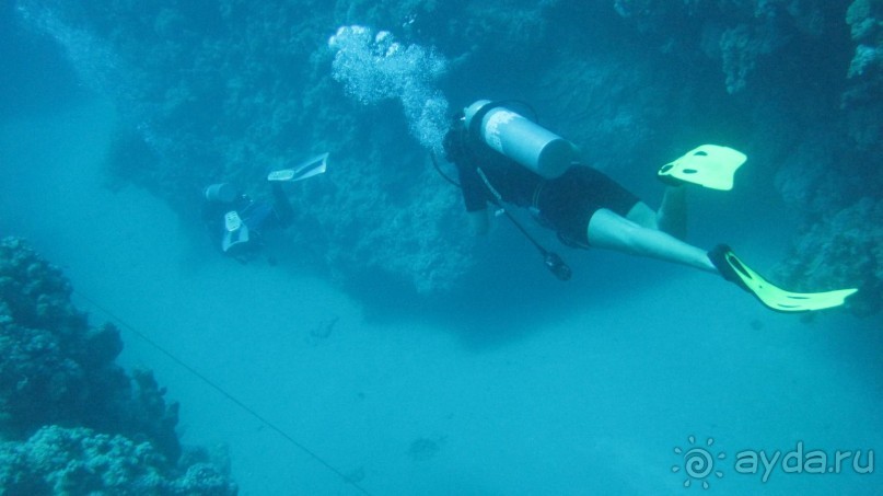 Хорошее сочетание цены и качества