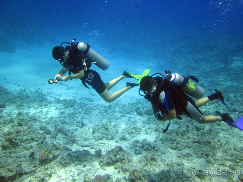 Хорошее сочетание цены и качества