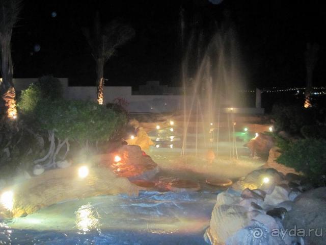 фото Riu Arabella