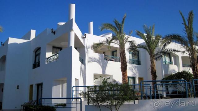 фото Riu Arabella