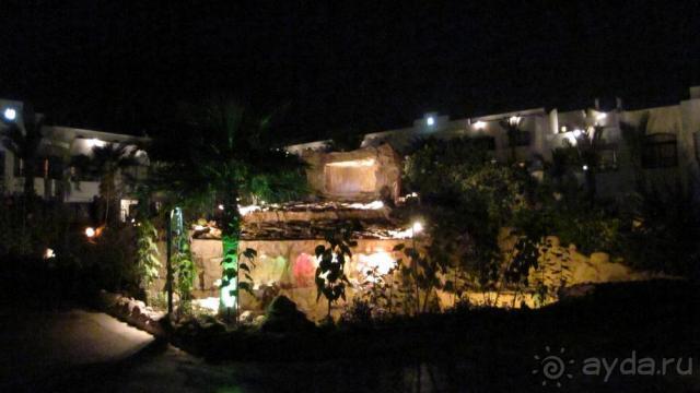 фото Riu Arabella