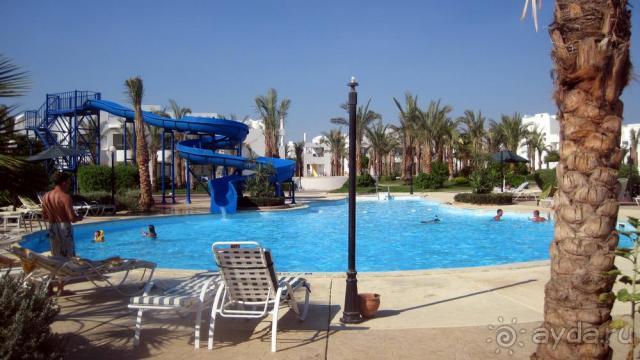 фото Riu Arabella