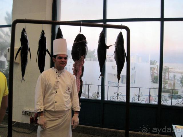 фото Riu Arabella