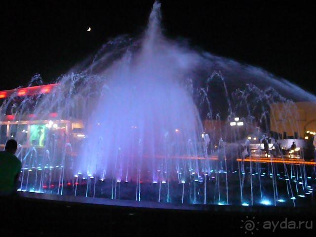 фото Riu Arabella