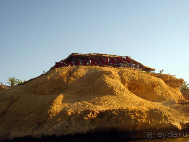 фото Riu Arabella