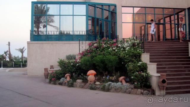 фото Riu Arabella