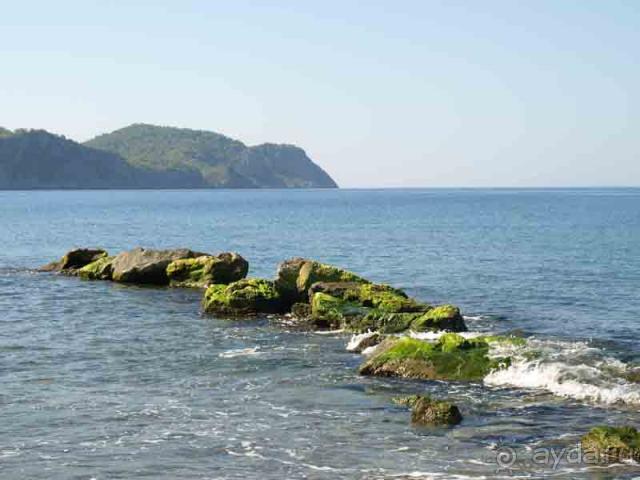 При отъезде мы не плакали - мы рыдали