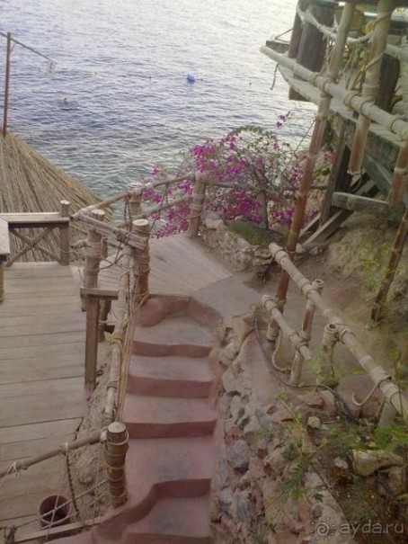 УНИКАЛЬНЫЙ и ЕДИНСТВЕННЫЙ  ПЛЯЖ Шарм-Эль-ШЕйха