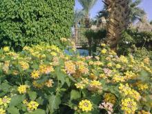 УНИКАЛЬНЫЙ и ЕДИНСТВЕННЫЙ  ПЛЯЖ Шарм-Эль-ШЕйха