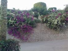 УНИКАЛЬНЫЙ и ЕДИНСТВЕННЫЙ  ПЛЯЖ Шарм-Эль-ШЕйха