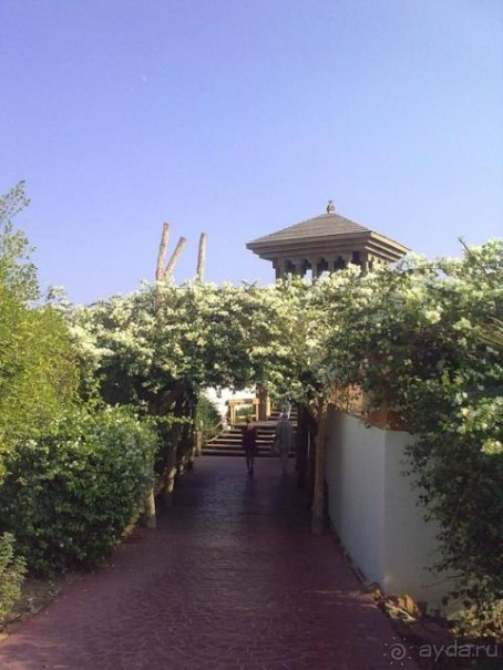 УНИКАЛЬНЫЙ и ЕДИНСТВЕННЫЙ  ПЛЯЖ Шарм-Эль-ШЕйха