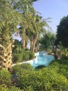 УНИКАЛЬНЫЙ и ЕДИНСТВЕННЫЙ  ПЛЯЖ Шарм-Эль-ШЕйха