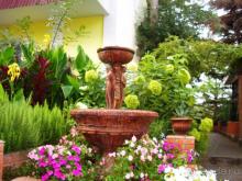 Прекрасный, тихий, ненавязчивый отдых