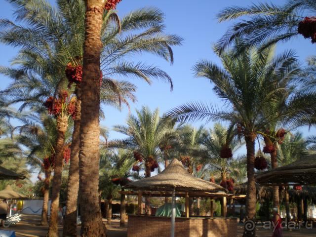 фото FUN&SUN SMART Seti Sharm 