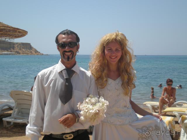 фото Гамартата