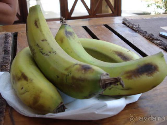 Не тратьте деньги зря!!!