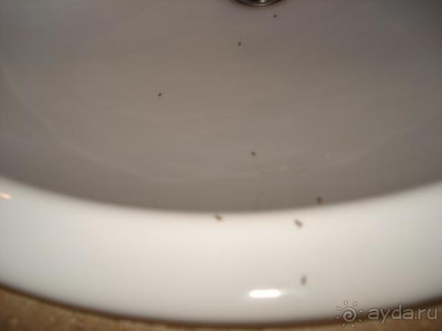 Не тратьте деньги зря!!!