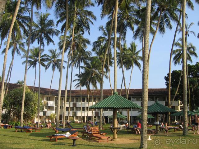 фото Биляна Бич