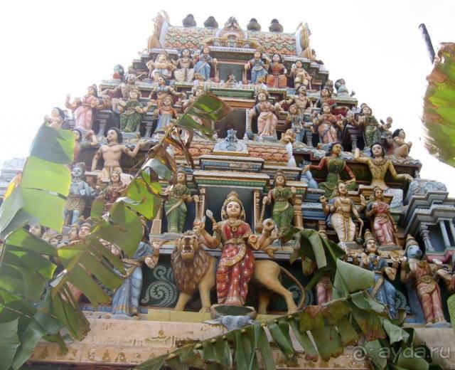 фото Биляна Бич