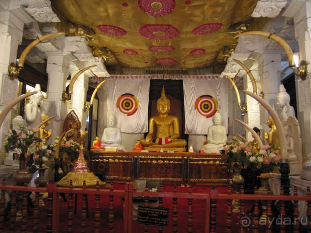 Шри-Ланка, Калутара, Танжерин 3*