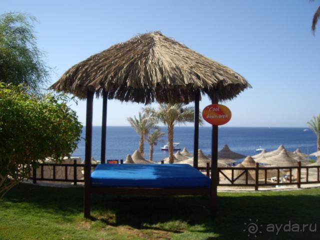 фото La Vie Hotel