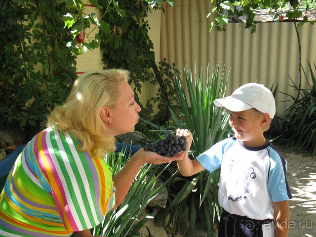 в пансионате