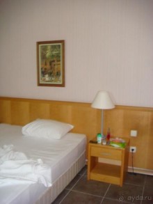 зеленый,плохо кормят,дикие,голодны отдыхающие