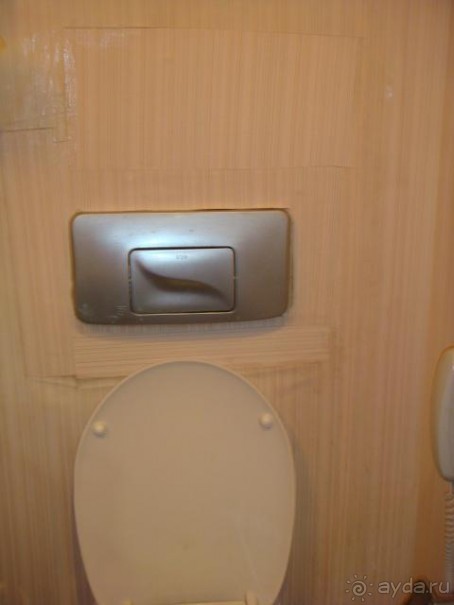 зеленый,плохо кормят,дикие,голодны отдыхающие