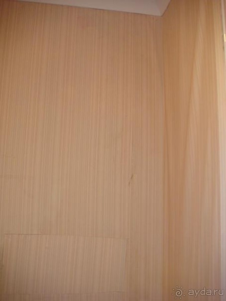 зеленый,плохо кормят,дикие,голодны отдыхающие