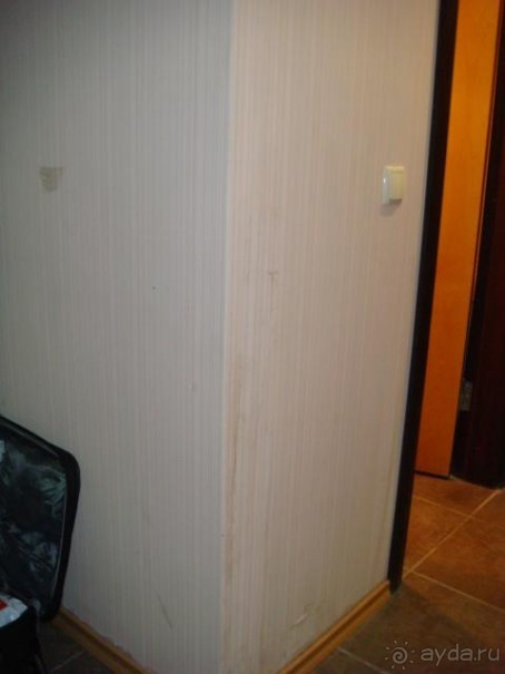 зеленый,плохо кормят,дикие,голодны отдыхающие