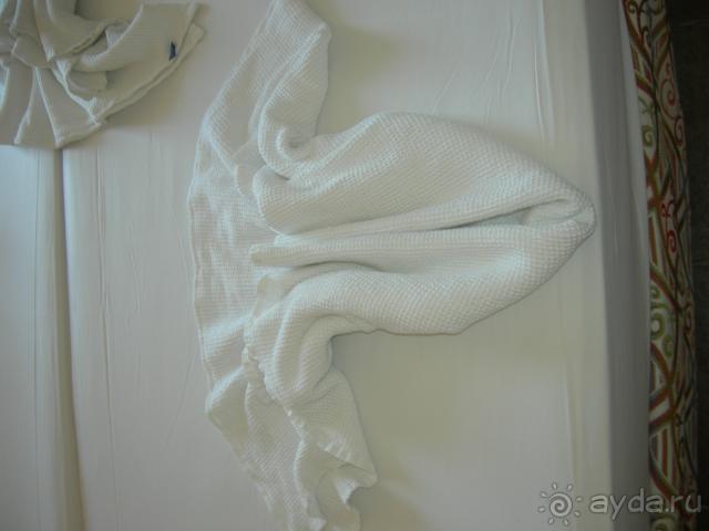 фото Алегра