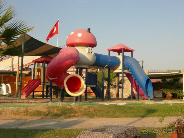 фото Алегра