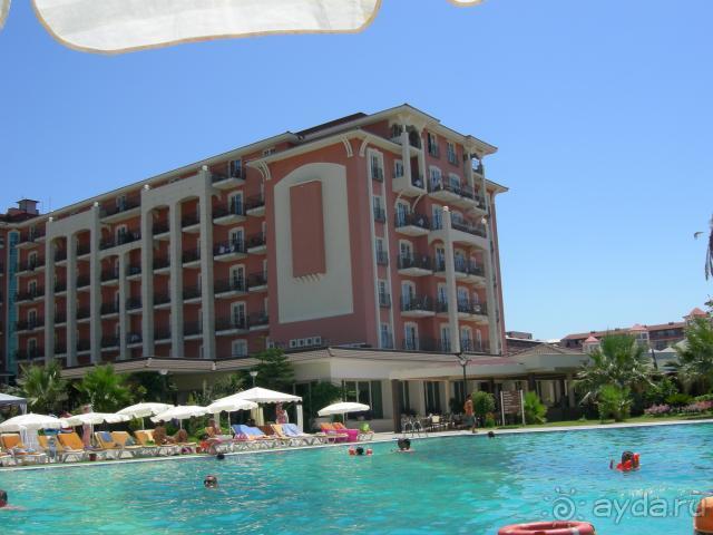 фото Алегра