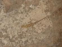 Отдых на Кипре 2008